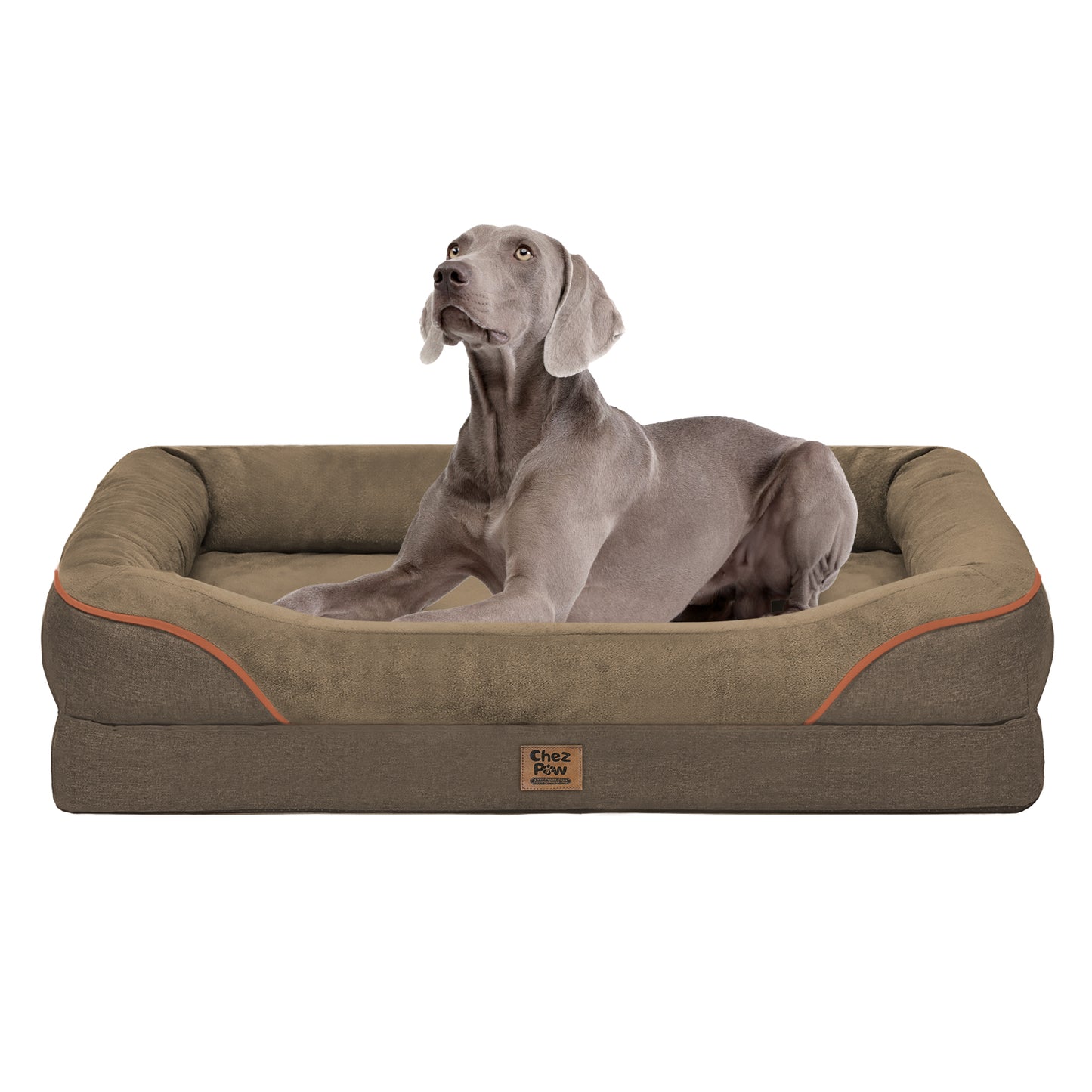 Orthopedic Dog Bed